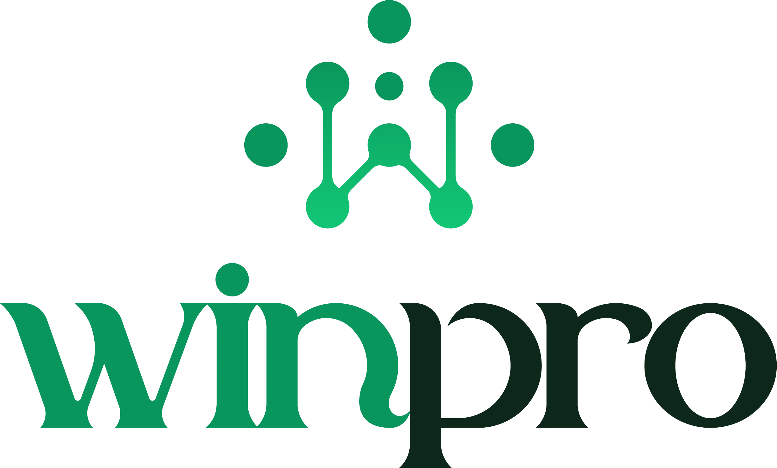 WinPro Sistemas