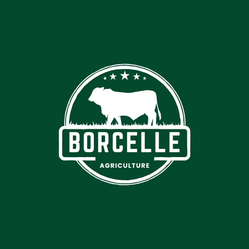 Lojas de Agropecuária